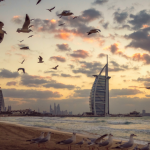 Jumeirah Beaches