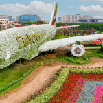 Miracle Garden Dubai