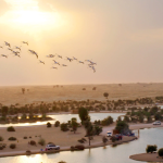 Al Qudra Lake