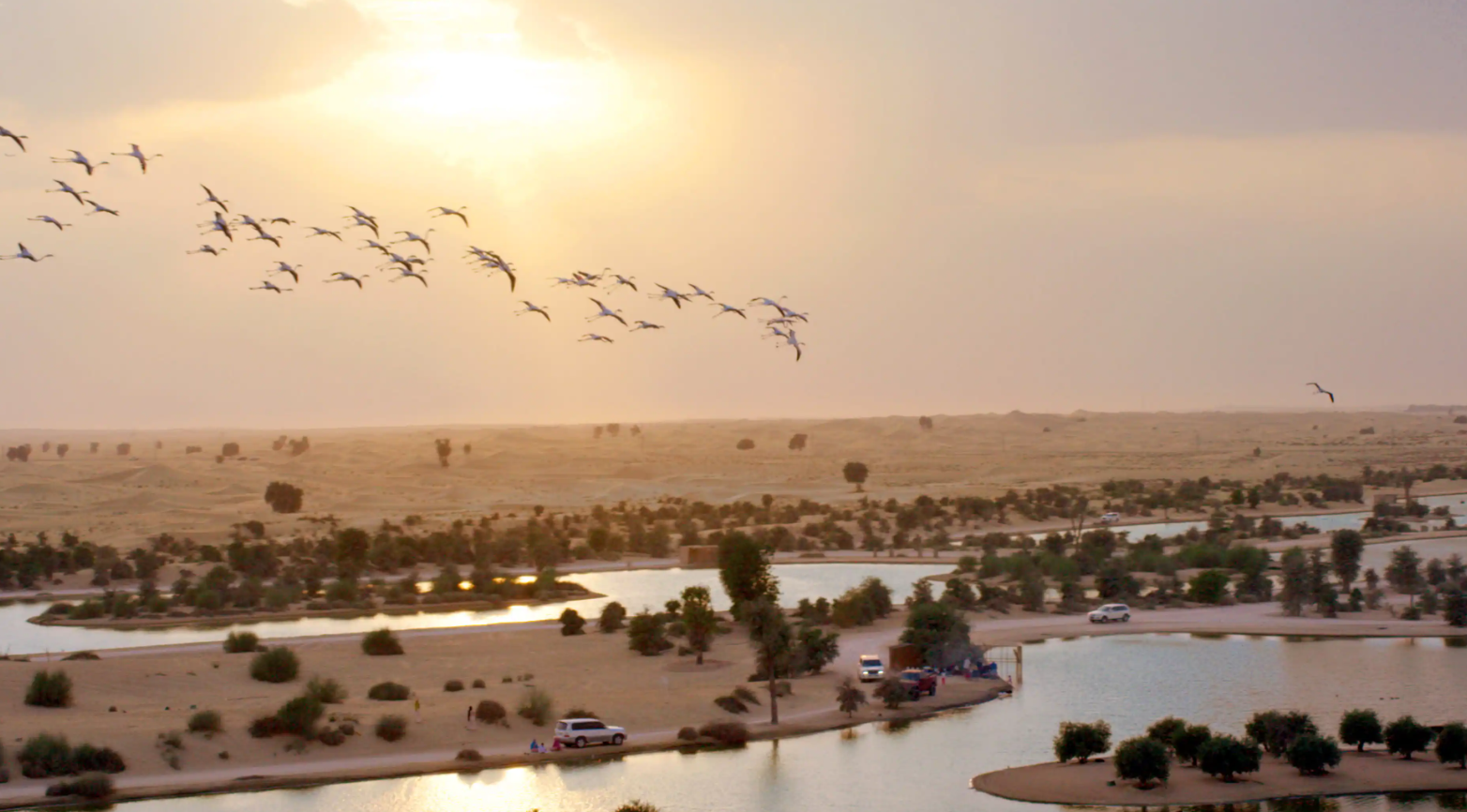Al Qudra Lake