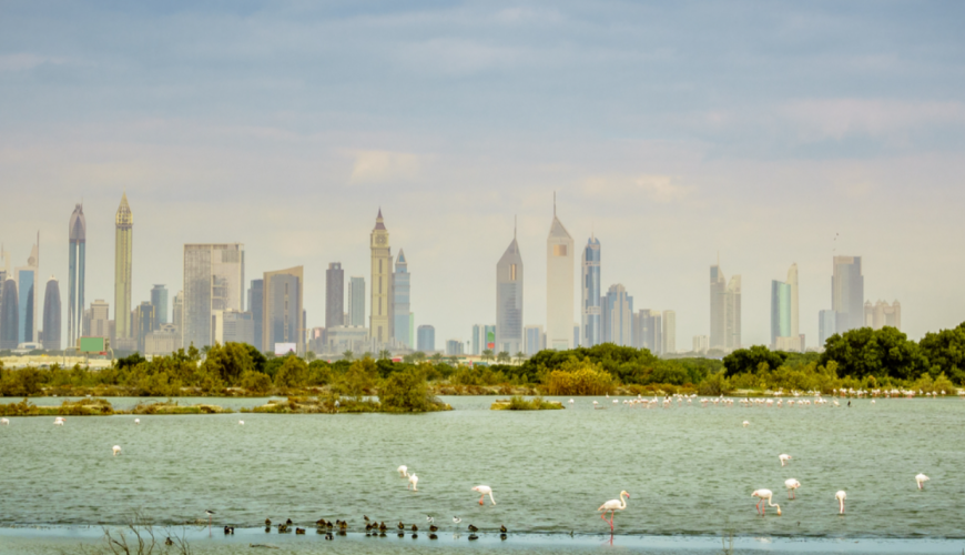Ras Al Khor